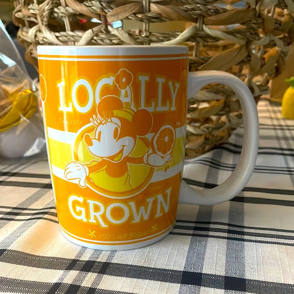 Disney Parks Minnie Citrus 🍊 Mug. Purchased for a citrus party. Used as Decor